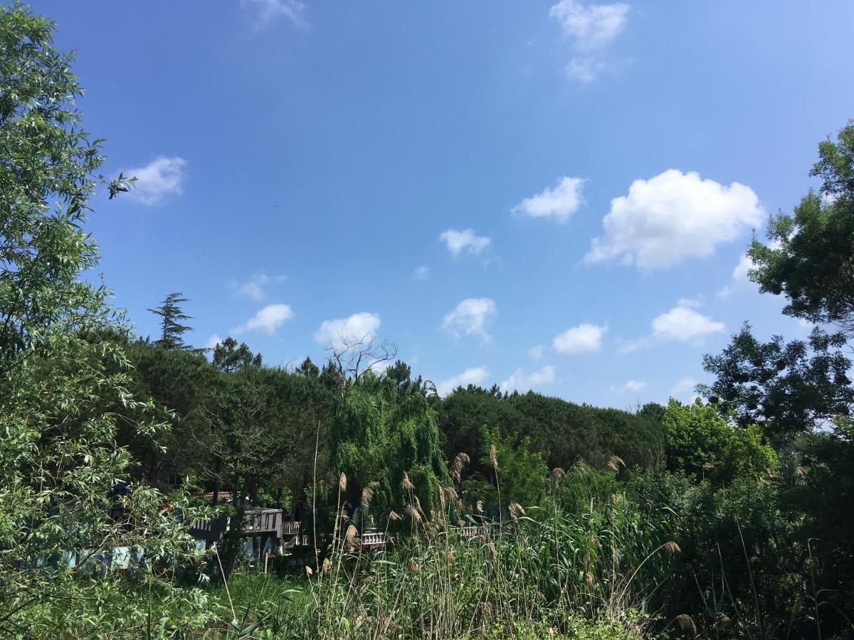 ホテル Shila Doert Mevsim Tatil Koyu Ağva エクステリア 写真