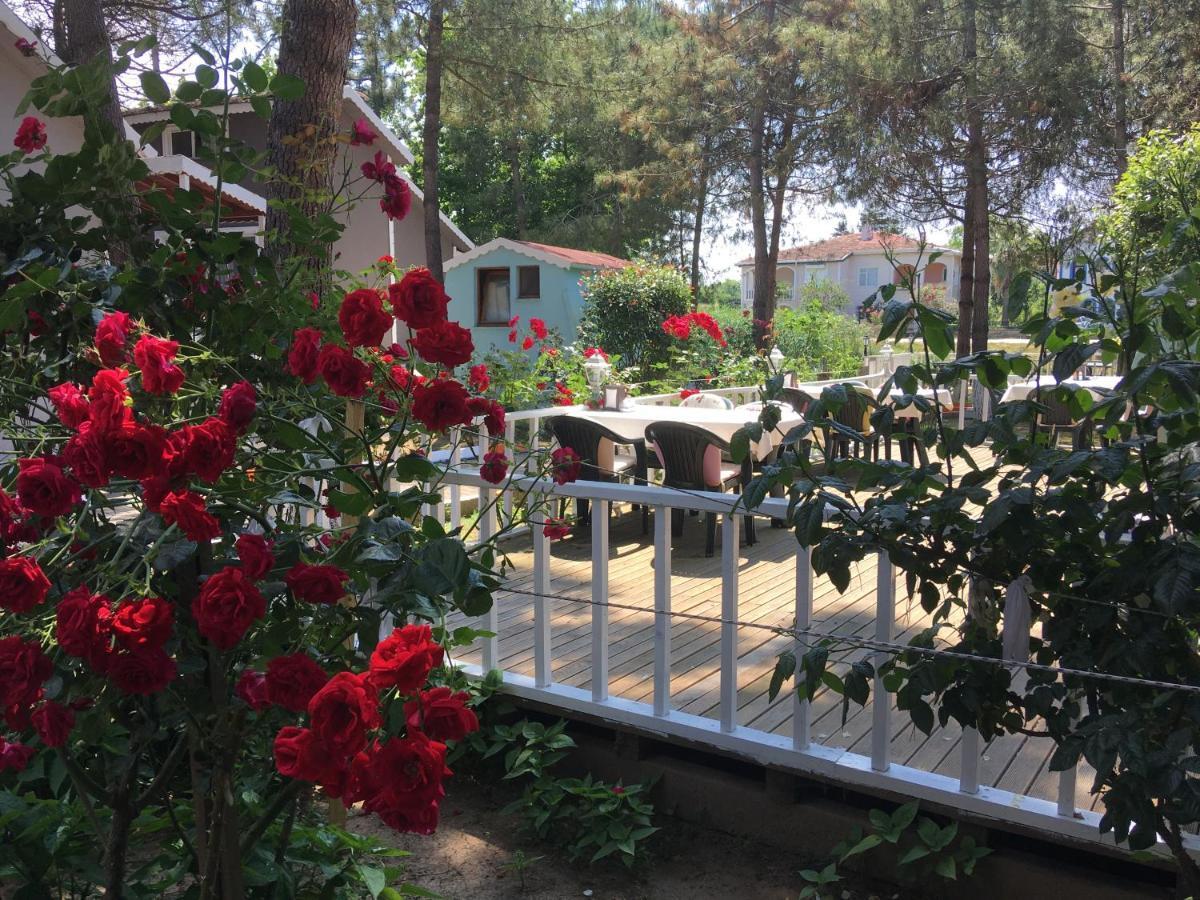 ホテル Shila Doert Mevsim Tatil Koyu Ağva エクステリア 写真