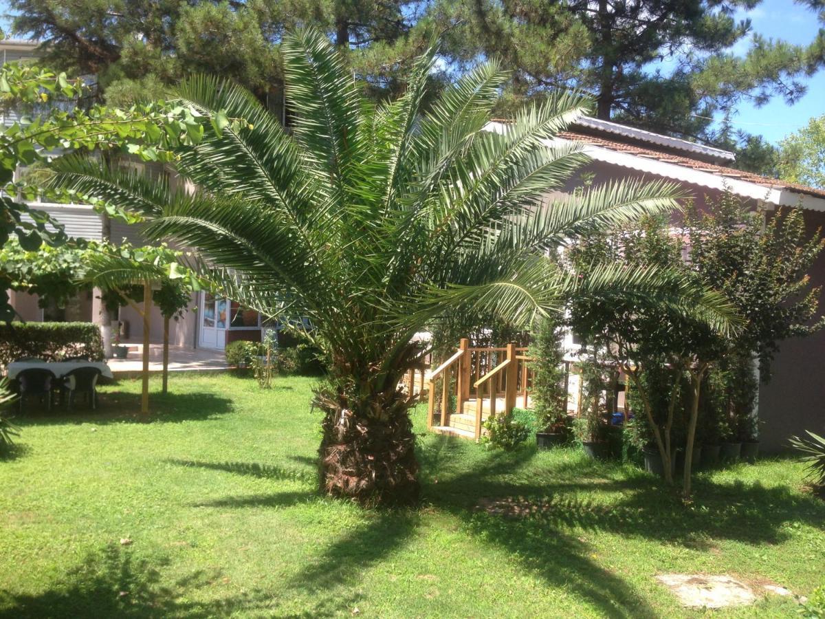 ホテル Shila Doert Mevsim Tatil Koyu Ağva エクステリア 写真